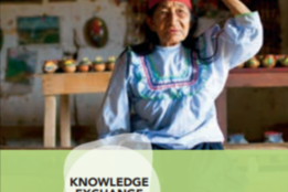 Shared Learning & Knowledge Exchange: Empowering Indigenous Peoples and Local Communities
