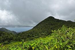 Mountain in Dominica