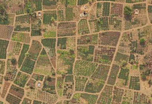 CIF Action Jardin Maraicher Decentralized forest and woodland management project, Burkina Faso  2020